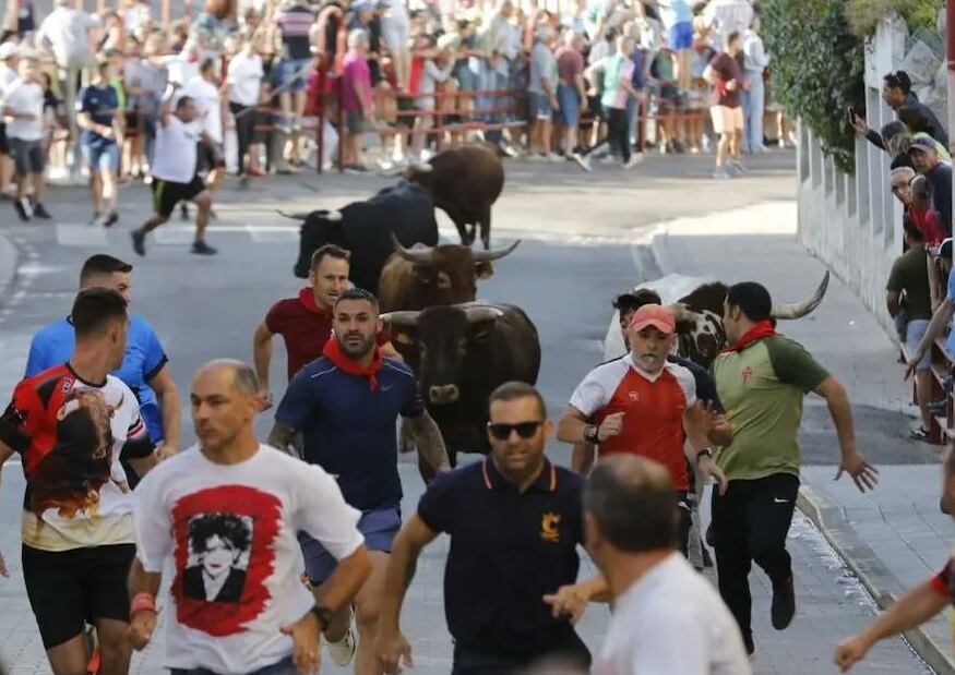 Los encierros de Peñafiel deja estampas de carreras como estas en la calle Infante Don Juan Manuel antes de la llegada a la entrada a la Plaza del Coso