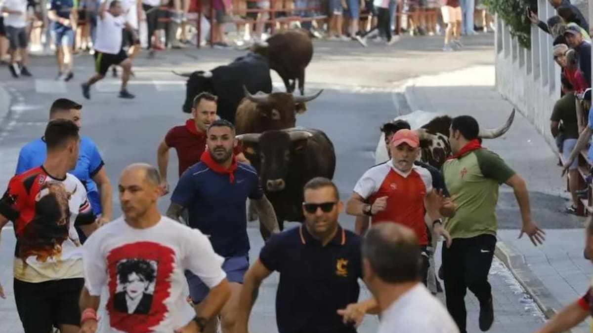 La previa taurina de Peñafiel