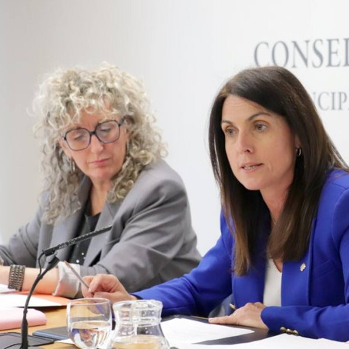 Demòcrates proposa flexibilitzar els requisits de la llei d'Accessibilitat