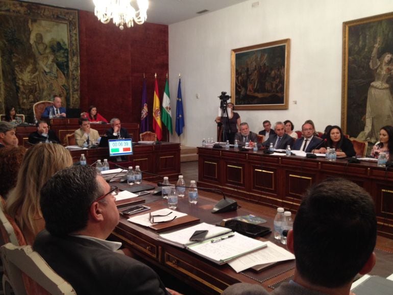 Dolores Amo durante su comparecencia en el pleno de la Diputación de Córdoba