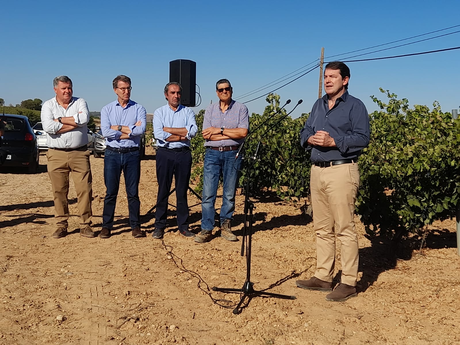 Alfonso Fernández Mañueco (dcha) en un viñedo de Roa, bajo la mirada de izda a dcha del presidente del Consejo Regulador Ribera del Duero, el Secretario General del PP, el alcalde de Roa y el propietario del viñedo