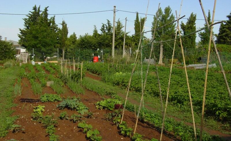 Huertos sociales de Jaca