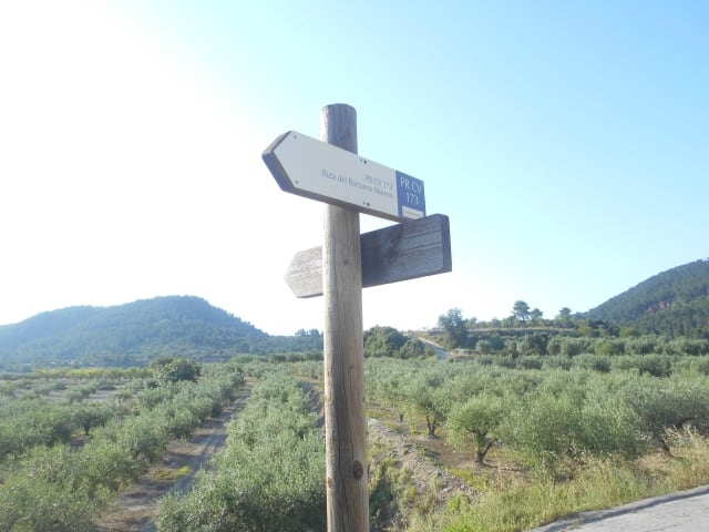 Sendero en Bicorp (Foto: FEMECV)