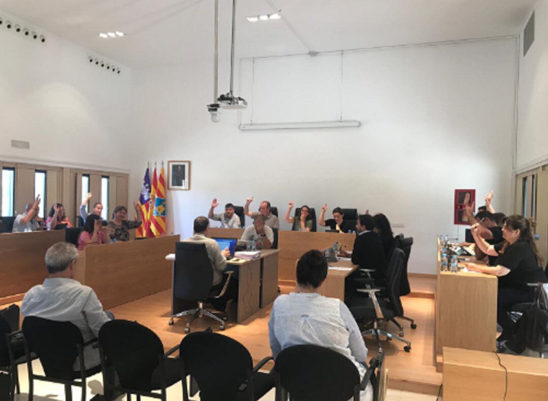 Imagen del pleno extraordinario celebrado hoy por el Consell de Formentera