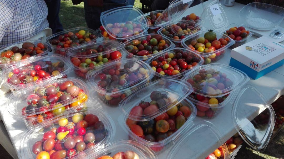 Muestra de diferentes variedades de tomates