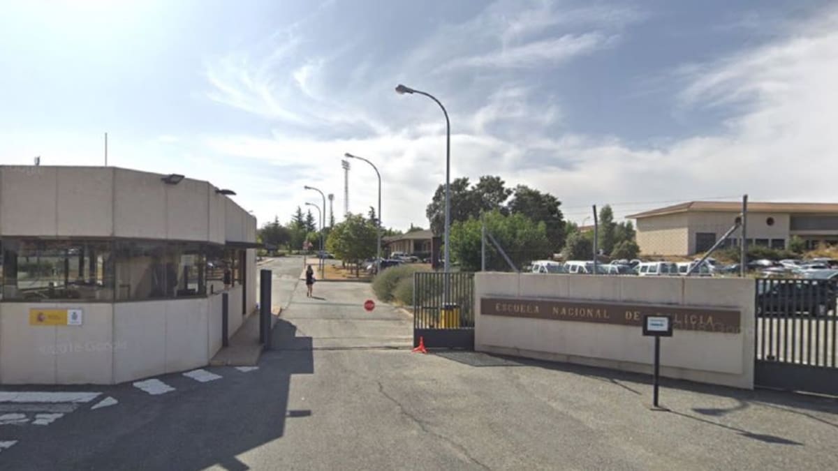 Resumen 11 - 15 febrero 2019