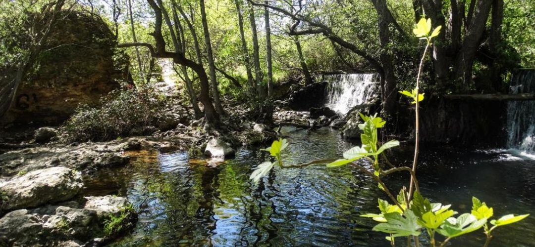 Repercutirá en la mejora de las necesidades de hasta un millón de habitantes