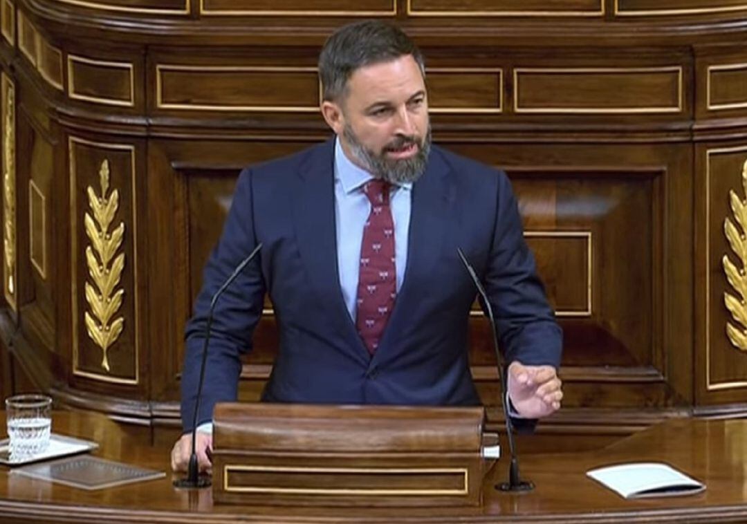 El líder de Vox, Santiago Abascal, durante su intervención en el Congreso.