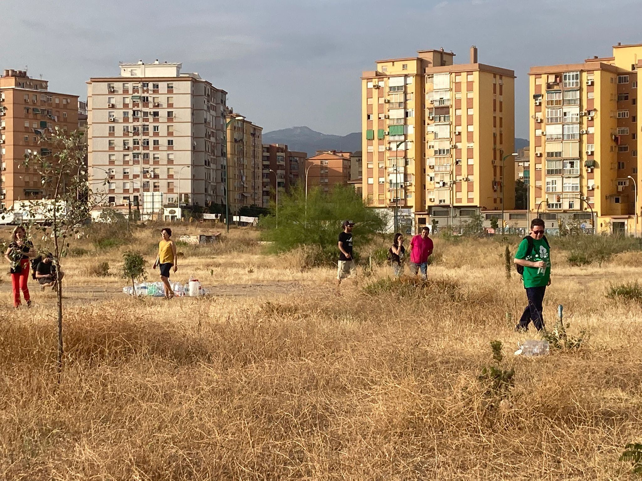 Un momento del riego con agua de las 200 árboles plantados en la parcela