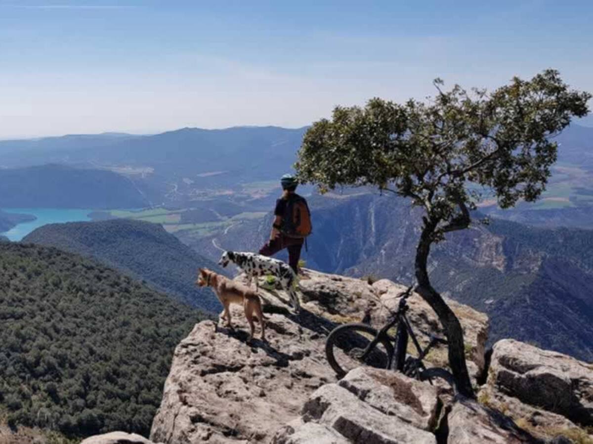 El Gobierno de Aragón distingue a Zona Zero Pirineos con la Medalla al Mérito Social