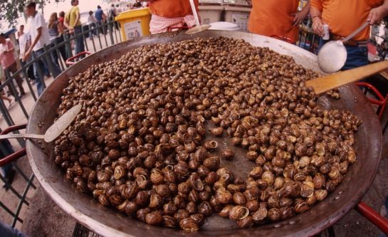 El &#039;aplec del cargol&#039;, que se celebra en mayo, es una de las fiestas gastronómicas más interesantes de la provincia.