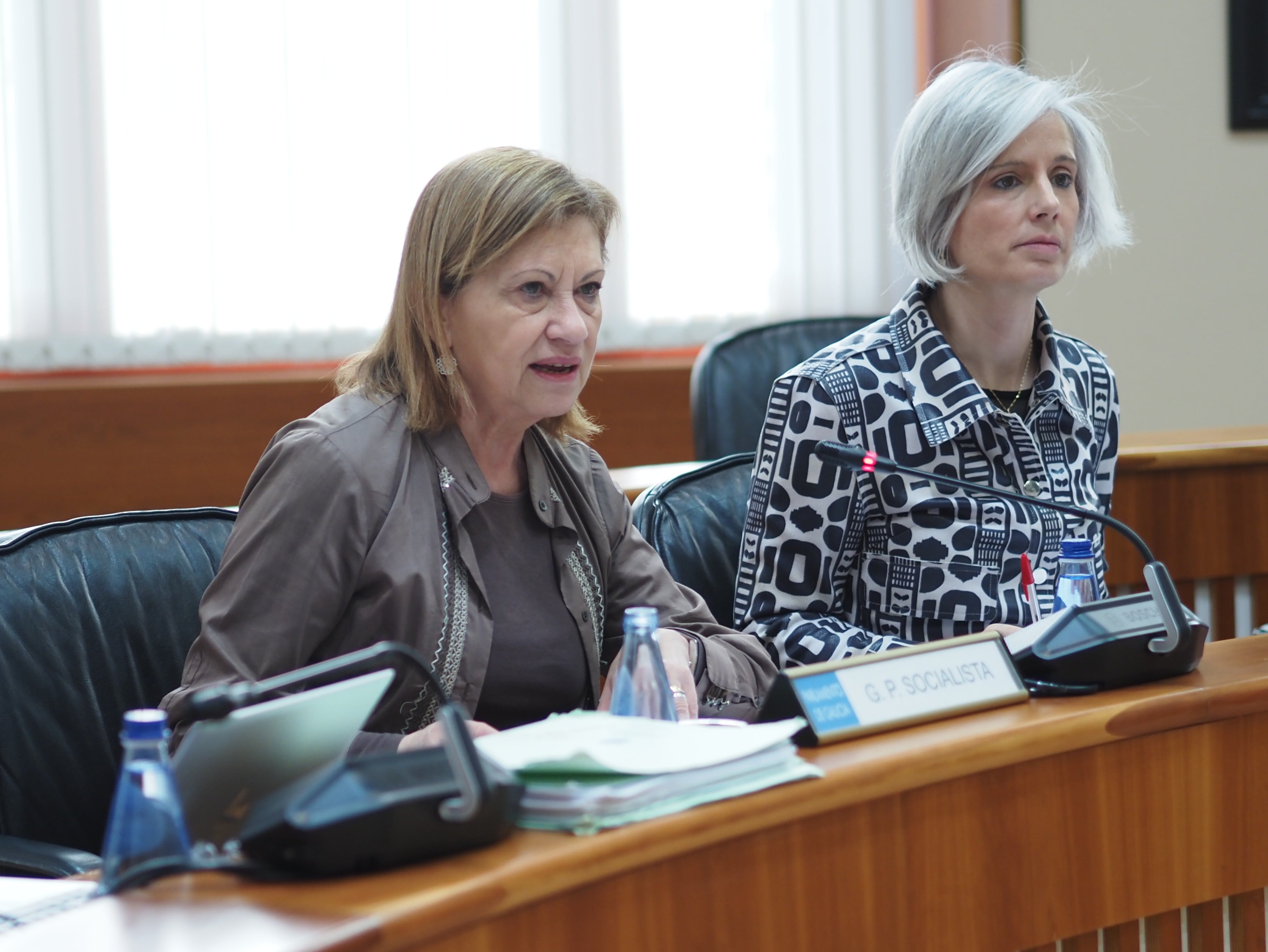 Elena Espinosa en una de sus últimas comparecencias como diputada autonómica del PSdeG