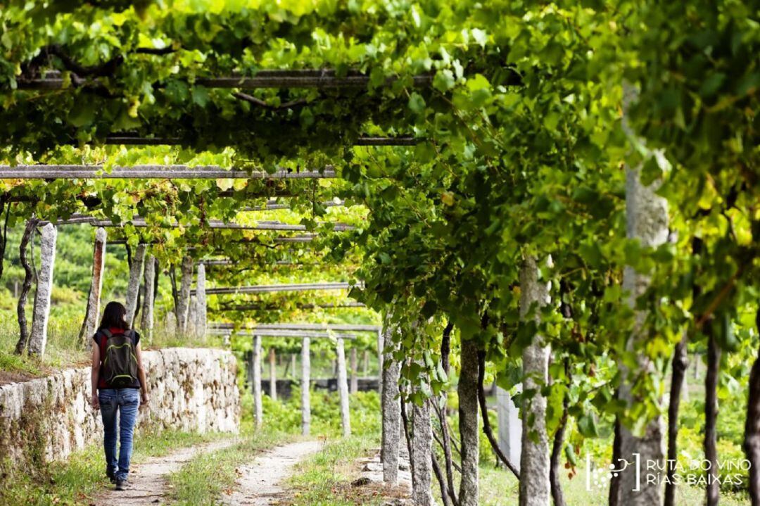 Ruta vino Rías Baixas