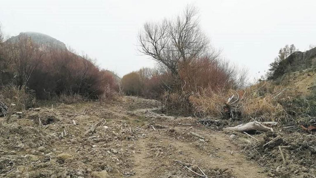 Cortes de vegetación practicados en el entorno del Guadiana Menor y de la finca en la que se pretende construir la macrogranja de cerdos.