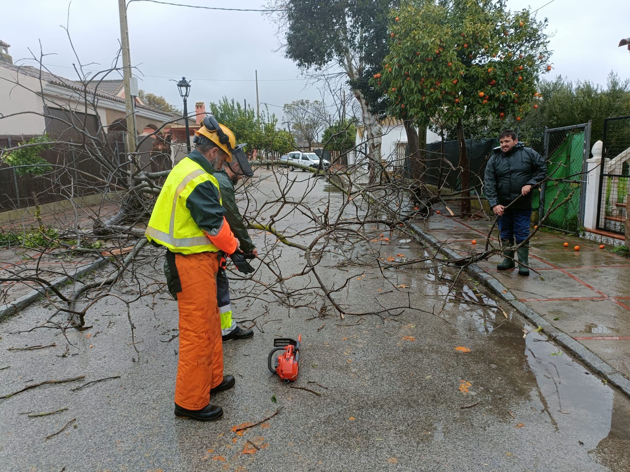 Efectos del temporal en El Torno, Jerez