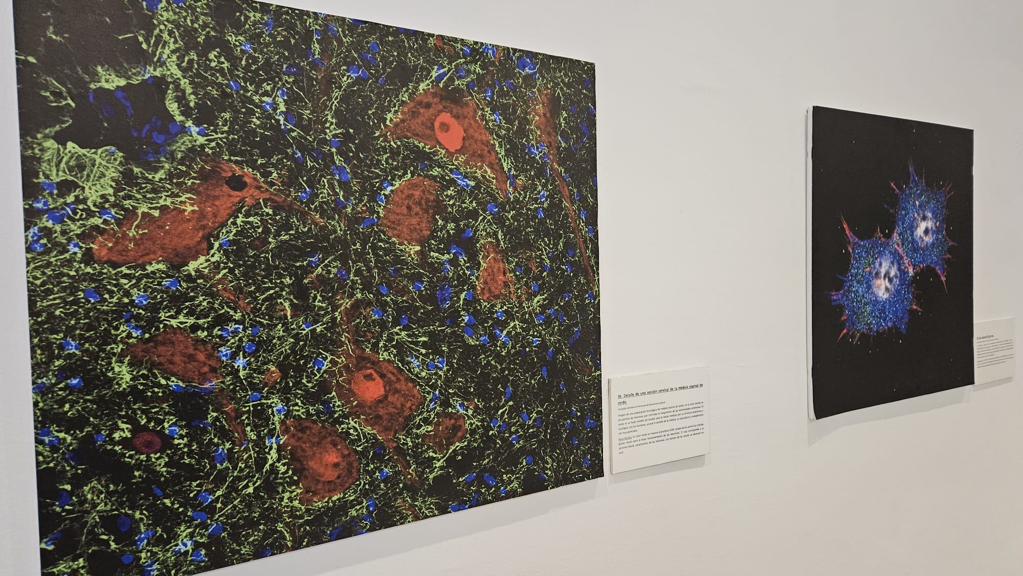 Algunas de las obras de la exposición