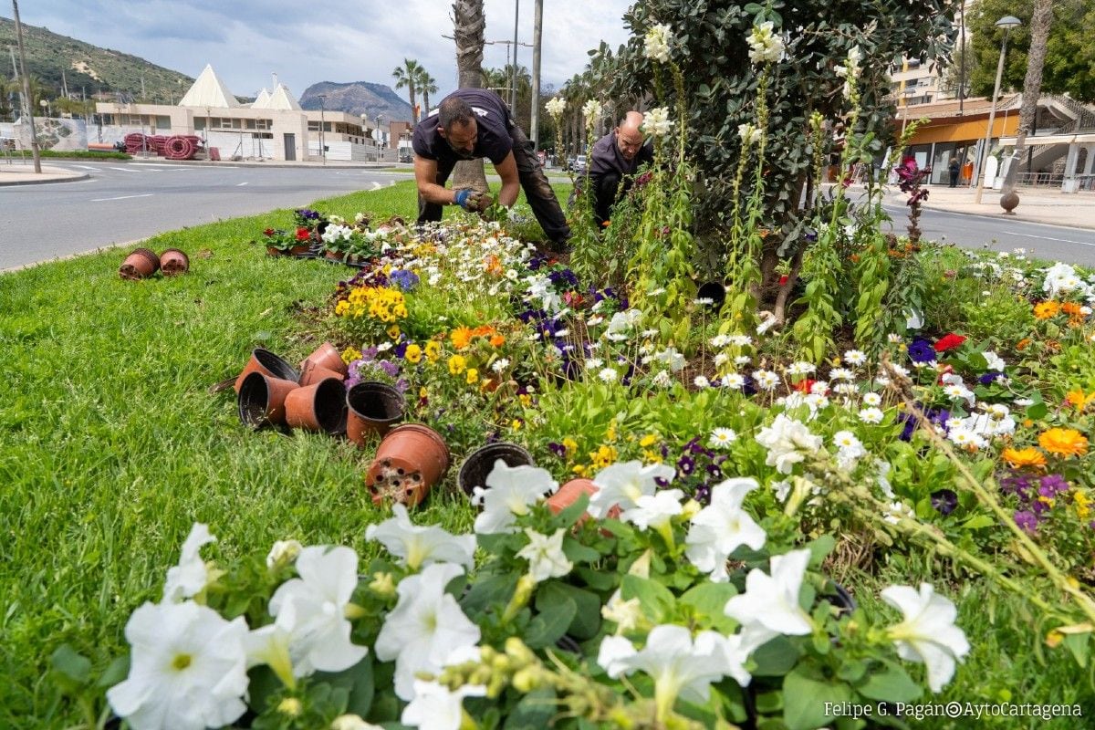 Mantenimiento de Parques y Jardines