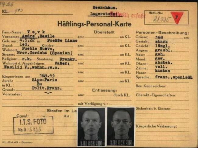 Documentos de André Basile