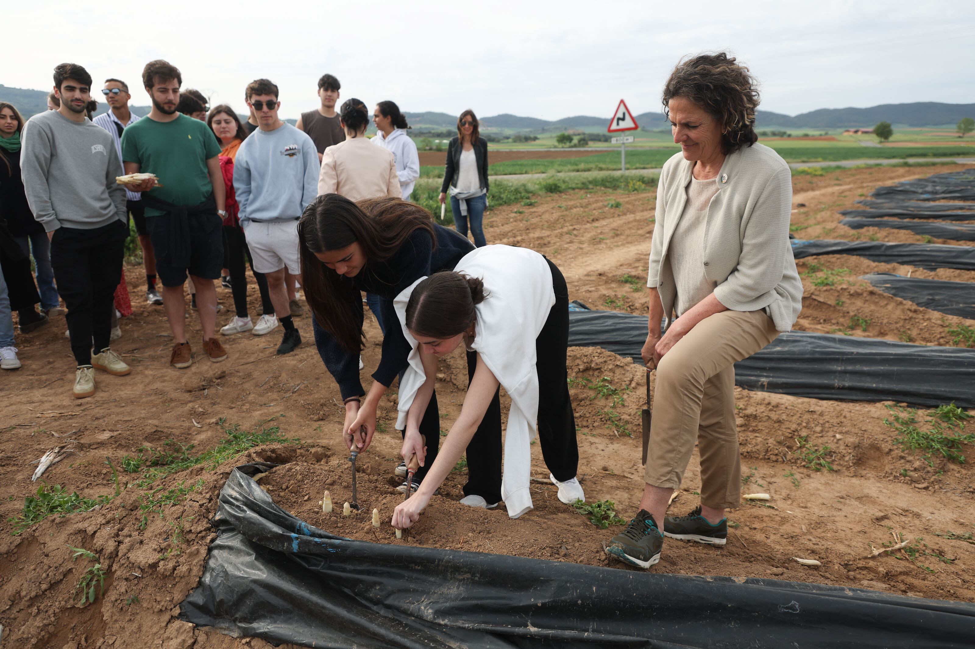 Estudiantes de Basque Culinary Center recogen Espárrago de Navarra, en un viaje de tres días para conocer sobre el terreno el producto local de calidad