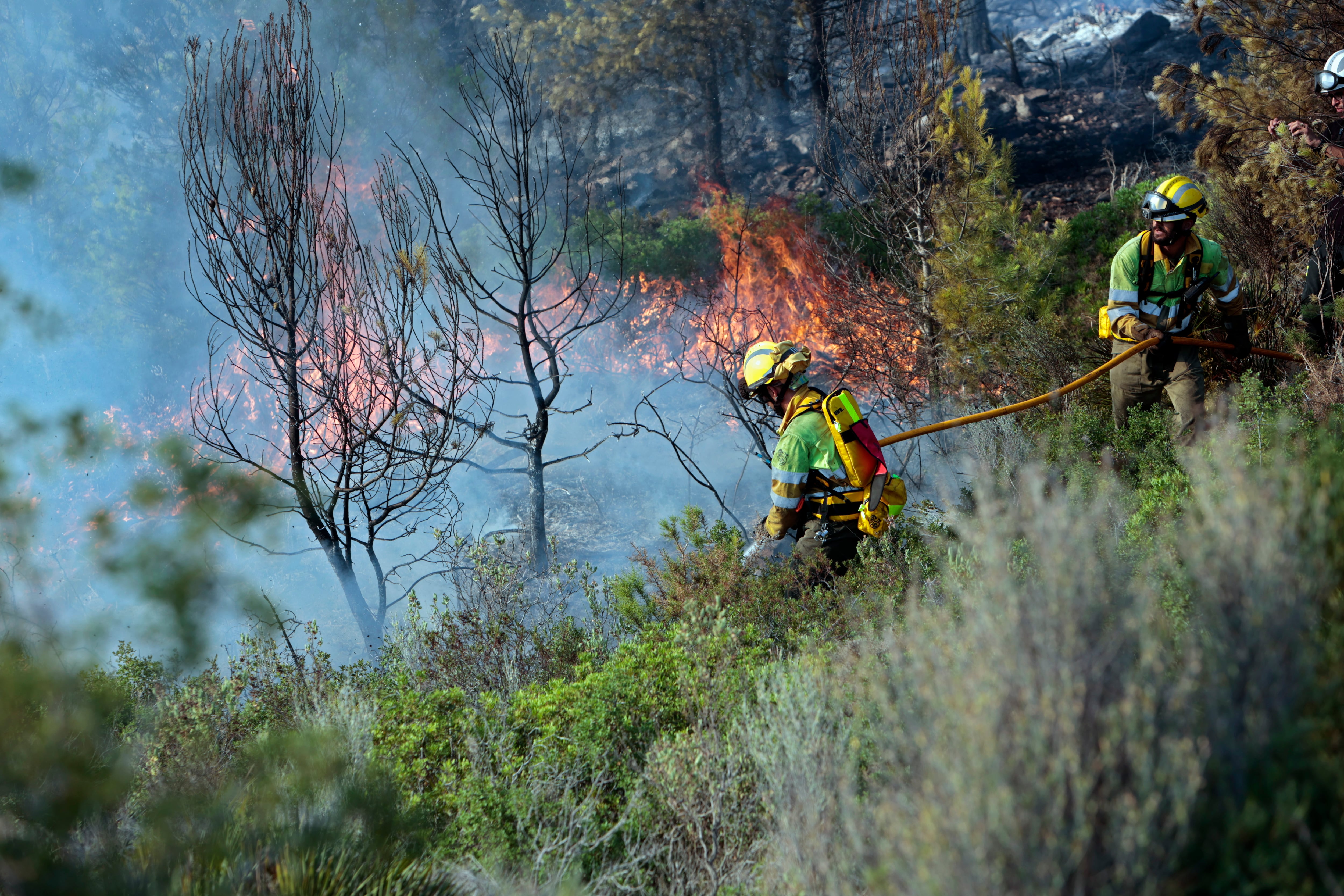 GRAFCVA5030. OROPESA (CASTELLÓN), 02/08/2023.- Un incendio forestal que se ha declarado la tarde de este miércoles en una zona de pinos próxima a la Urbanización Portocala en Oropesa del Mar, en la zona de la Renegá, y que ya se considera controlado, ha requerido la intervención de diversos medios aéreos y terrestres entre los que se encuentran cuatro unidades de los Bomberos Forestales de la Generalitat -una de ellas helitransportada-, cuatro autobombas y cuatro medios aéreos, además de dos dotaciones del Consorcio Provincial de Bomberos de Castellón con un coordinador forestal y una unidad de mando. EFE/Doemench Castelló
