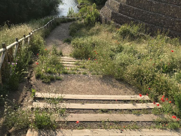 Estado en el que se encuentra la Ladera de Belén en Carrión de los Condes, Palencia