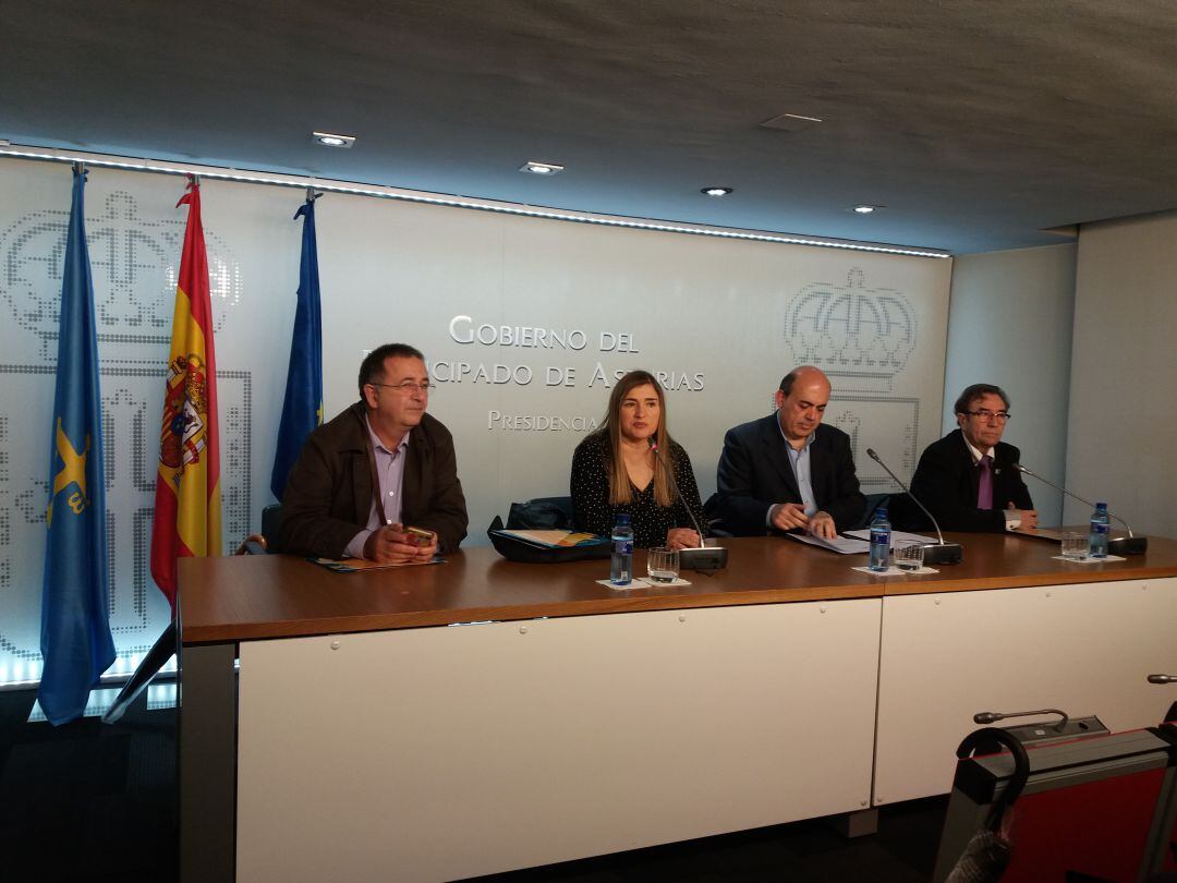 El comité ejecutivo del CERMI con su presidenta Mónica Oviedo , tras la reunión mantenida con el presidente del Principado, Javier Fernández