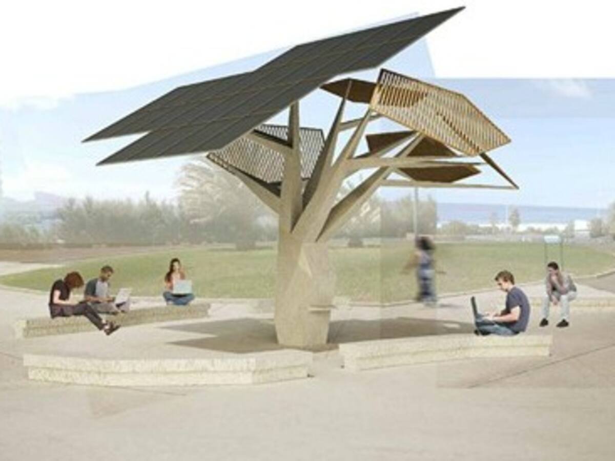 Árbol Wifi en Punta del Hidalgo