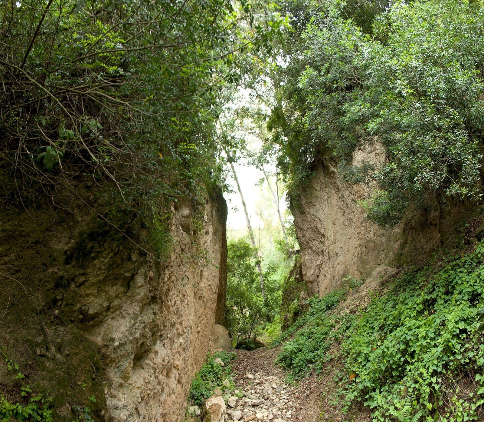 Recorrido por el parque de&quot; Las Aguilillas&quot;