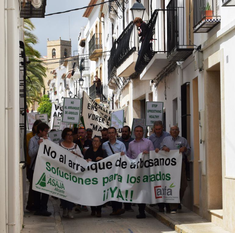 Manifestación de los afectados por la Xylella en Benissa.