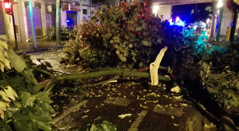 El llamp va partir l'arbre, que va caure al mig del carrer.