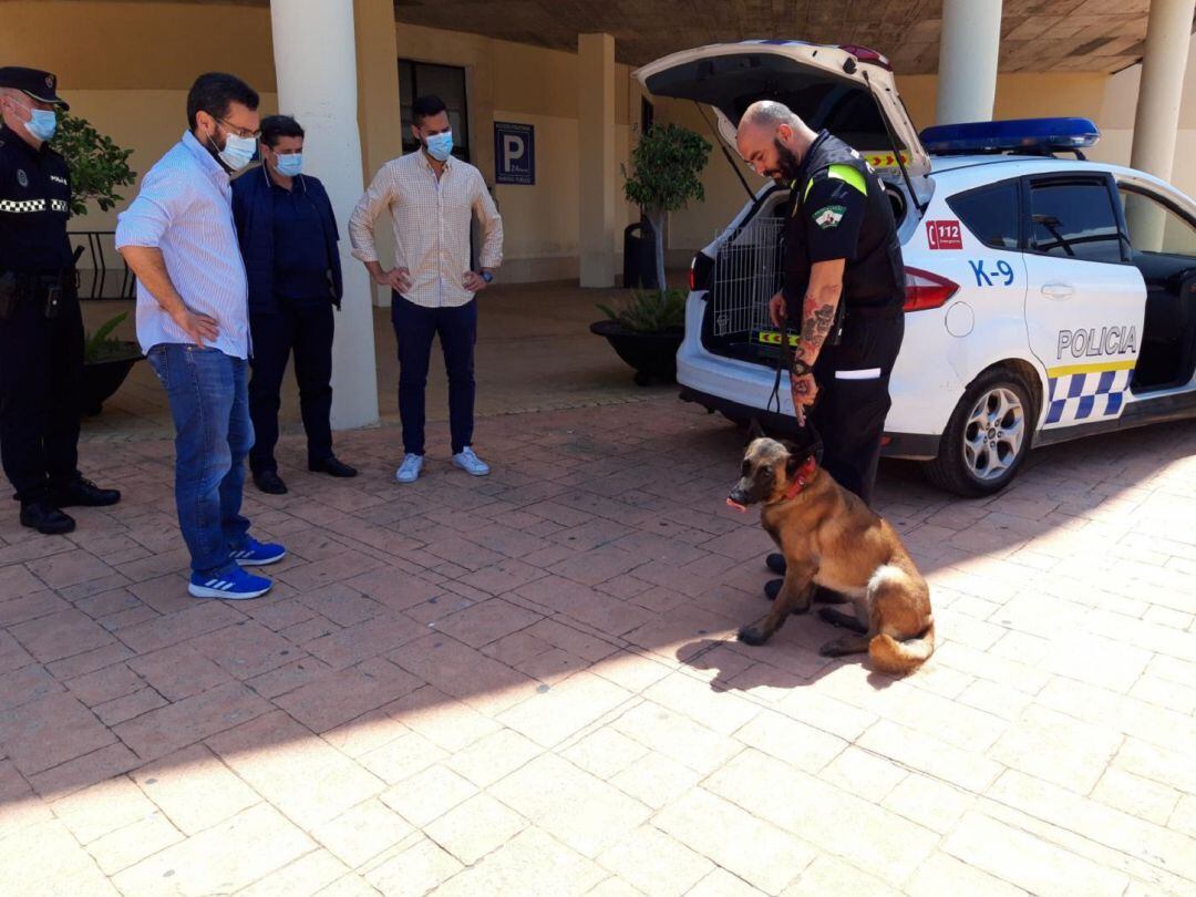 Perro policía en el Ayuntamiento de La Línea.