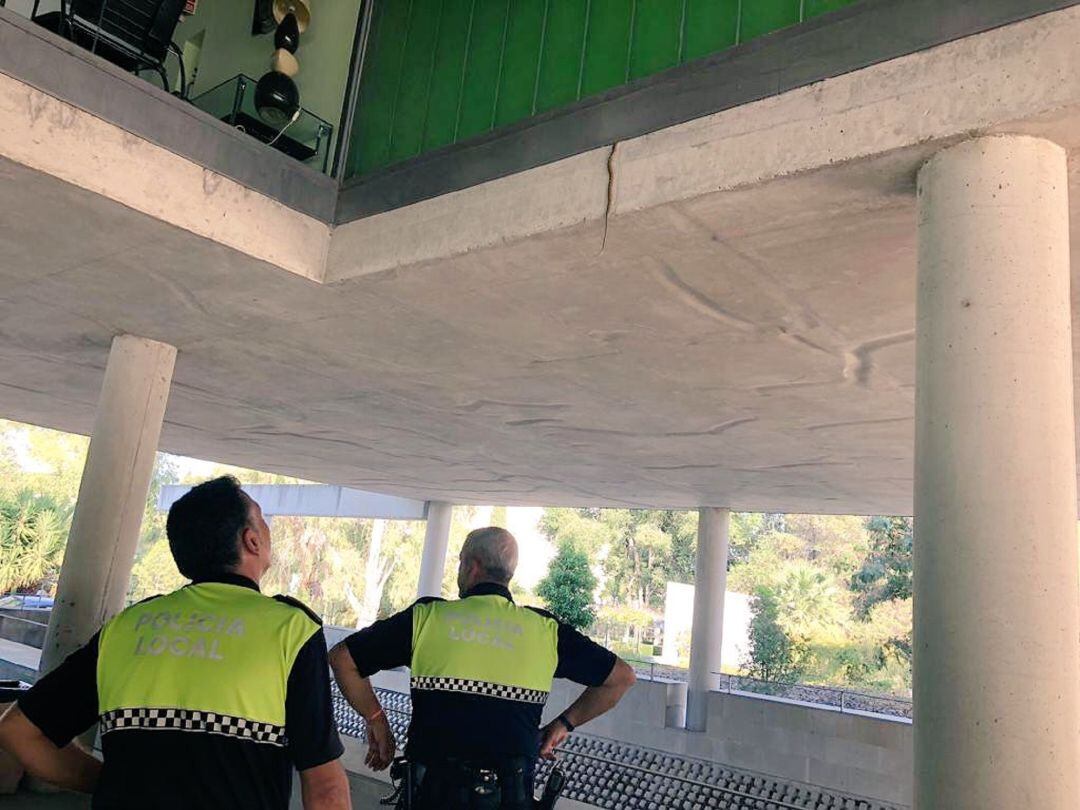 Los policías locales miran al reptil encaramado en una repisa del edificio.