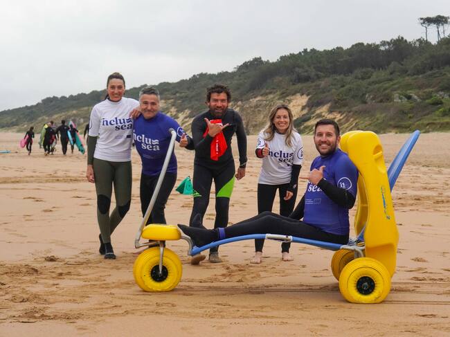 El manual será accesible para todos.