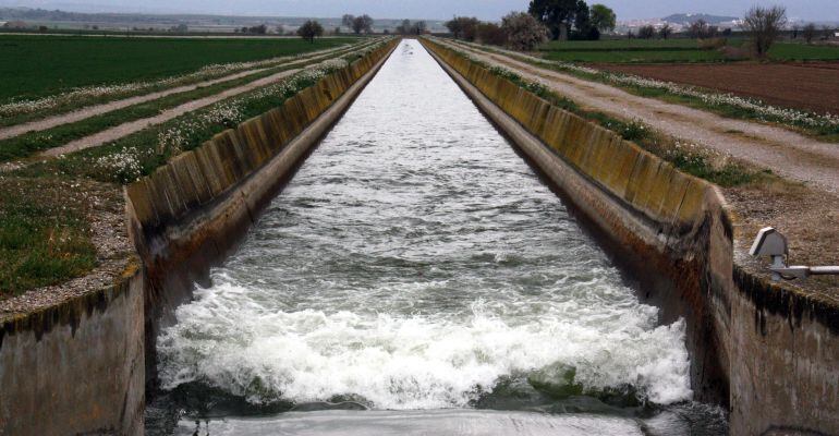 El canal principal del Canal d'Urgell ple d'aigua al seu pas per Vilanova de Bellpuig.