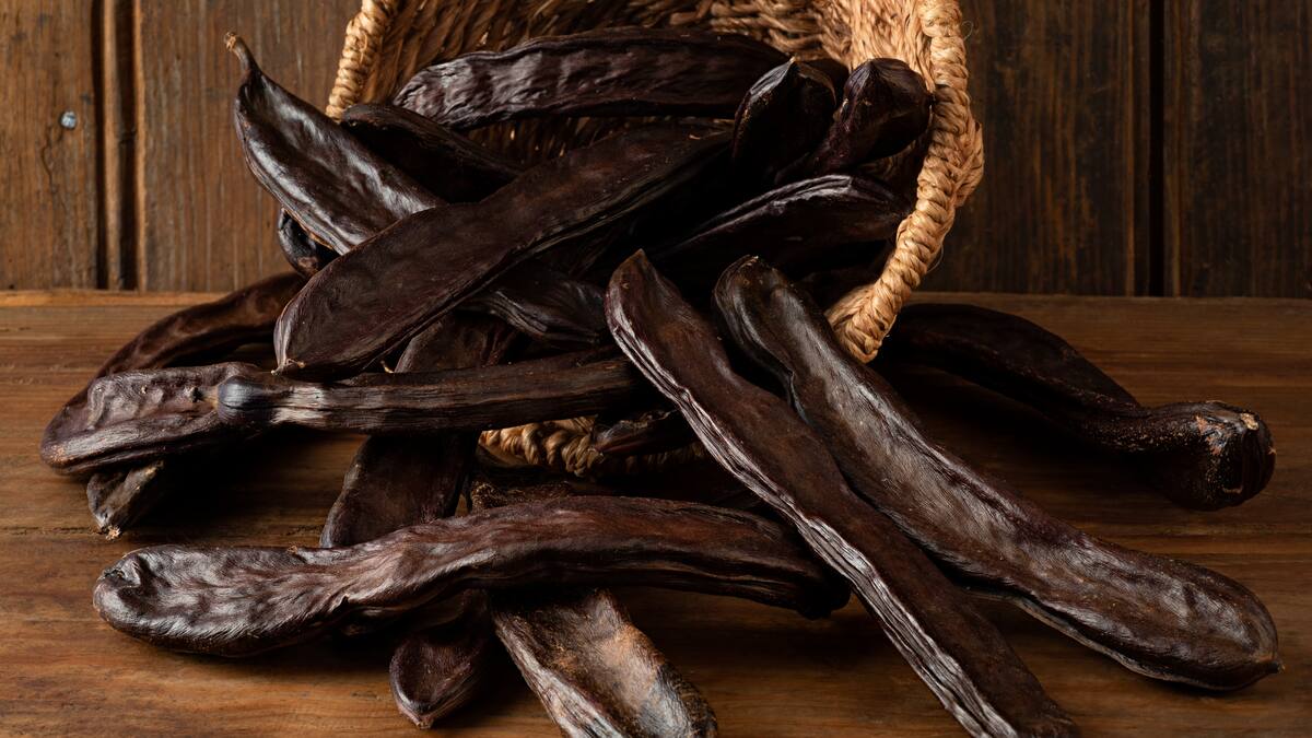 La Llavor (27-04-2024)