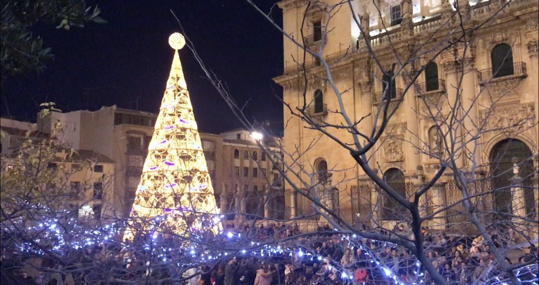 Pino luminoso de 22 metros de altura que se ha colocado en la plaza de Santa María.