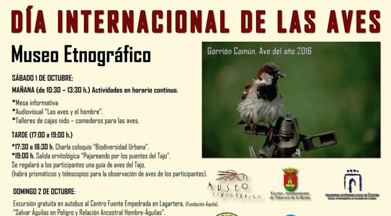 Cartel Día Internacional de las Aves