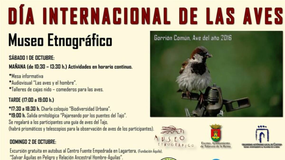 El Museo Etnográfico acoge actividades con motivo del Día Internacional de las Aves