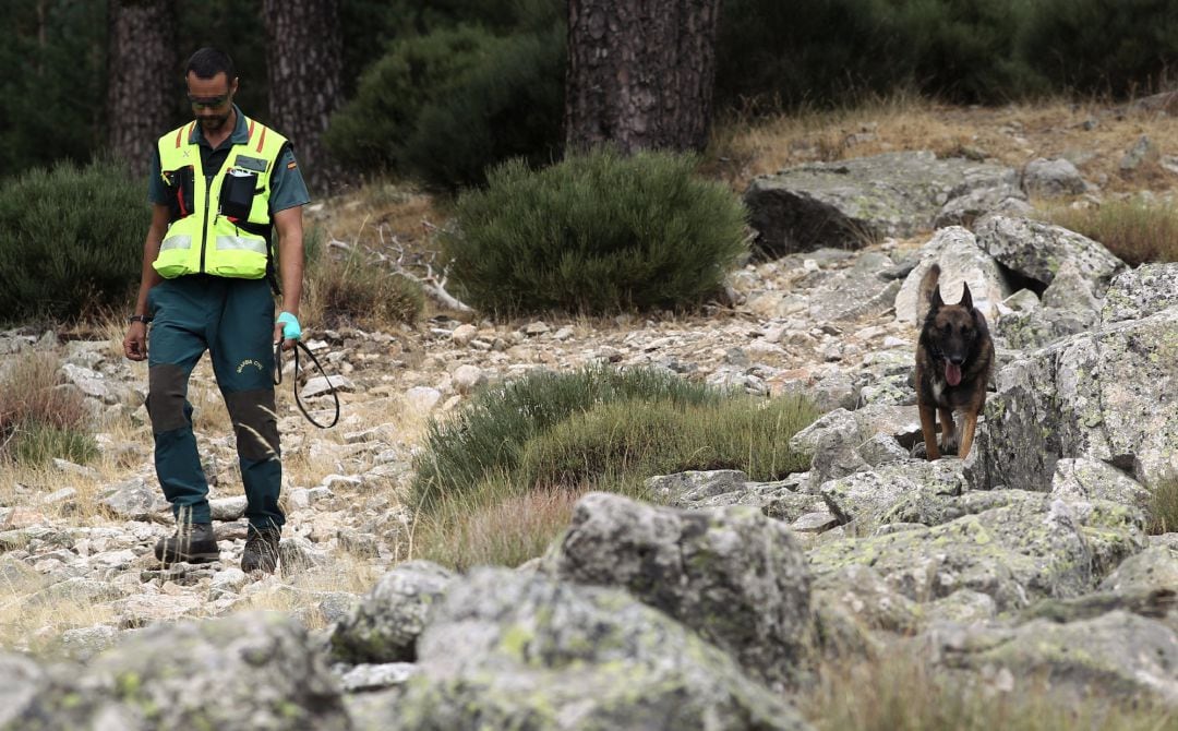 Acompañado de un perro de rastreo, un agente de la Guardia Civil continúa con los trabajos de búsqueda de la esquiadora y medallista olímpica, Blanca Fernández Ochoa, desaparecida el pasado 26 de agosto.