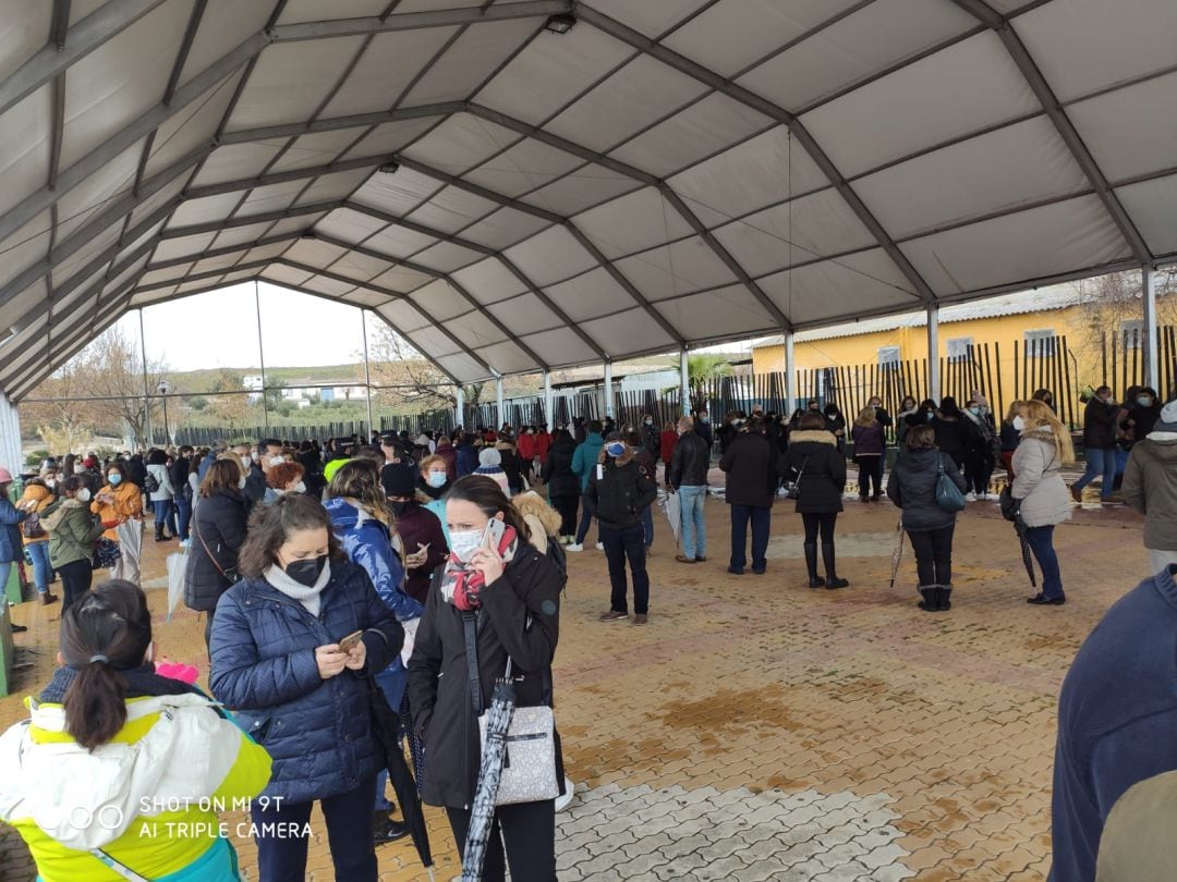 Personal educativo citado hoy en Linares para las pruebas Covid, antes del volver a las aulas