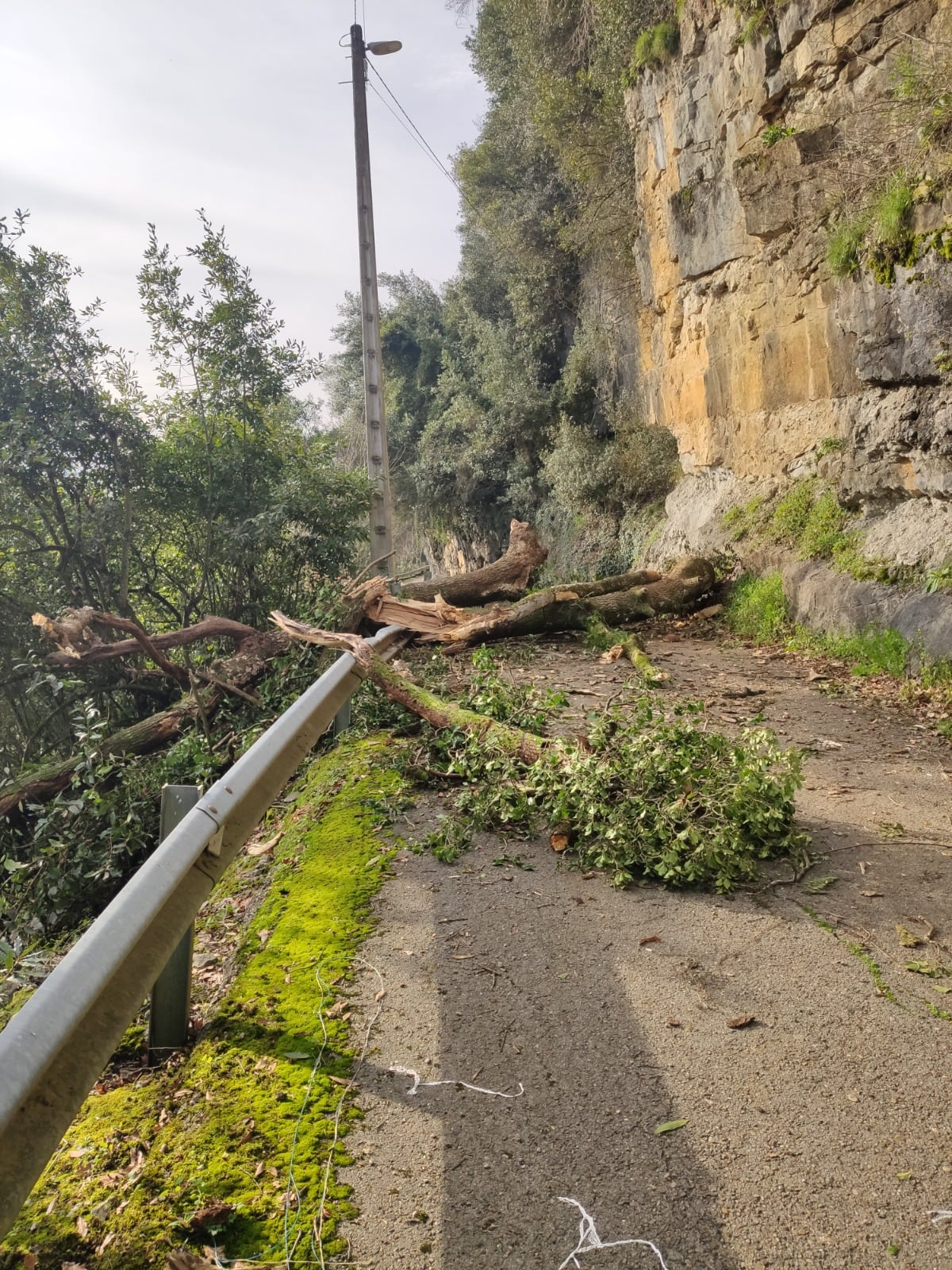 Desprendimiento de la carretera