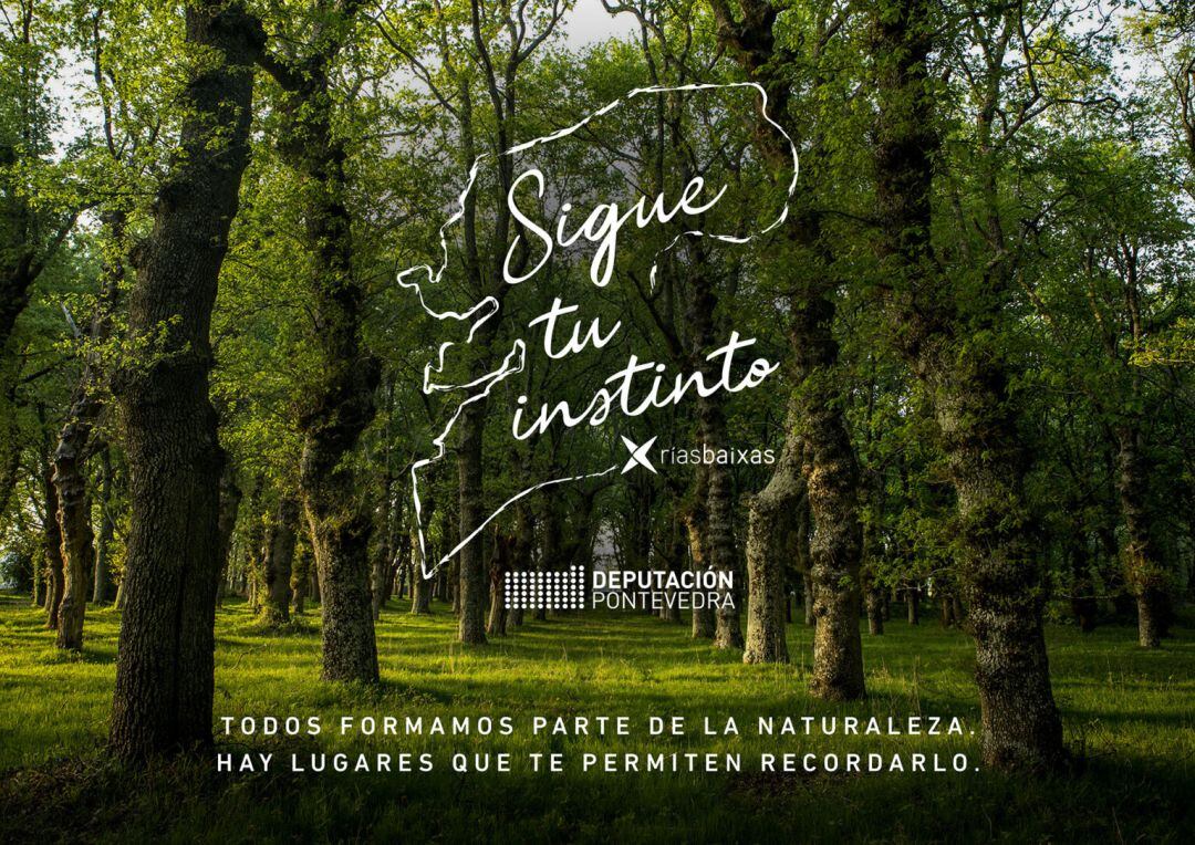 Cartel "Sigue tu institnto"