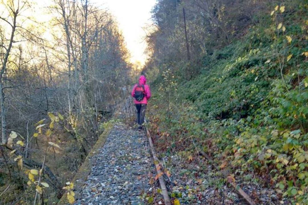 Unos quieren recuperar el uso del tren para turismo y otros convertir el trazado en una vía verde