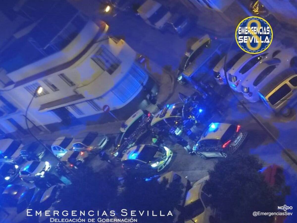 Detenidos tras una persecución en la que embistieron con su coche contra los patrulleros