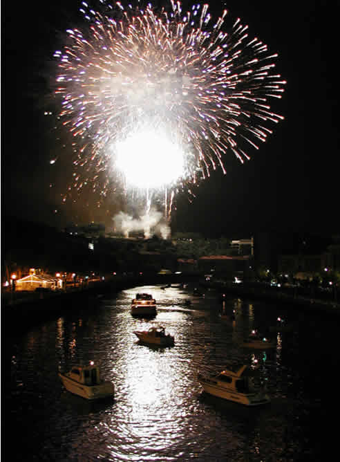 Lidera las preferencias de los internautas. Es una fiesta que se celebra durante 9 días a partir del 15 agosto desde 1988. Comienza con el tradicional chupinazo.