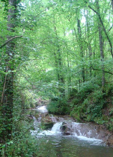 Paisaje de Trassierra. Córdoba