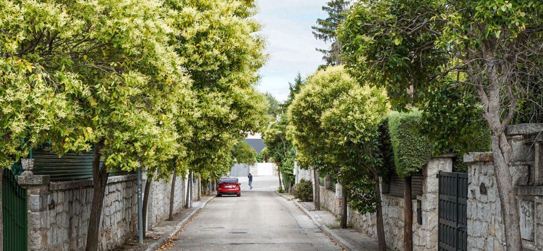 Se van a mejorar las ocho calles principales de la también conocida como colonia de La Magdalena