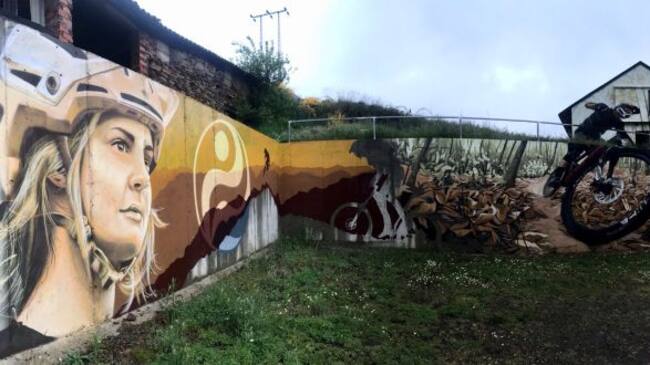 Intervención realizada por Chisme Criu para un particular en Pobladura de las Regueras