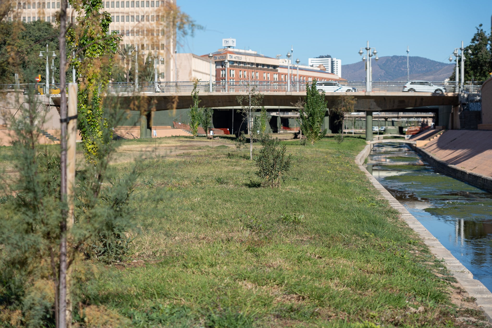 Siembra en el río Guadalmedina