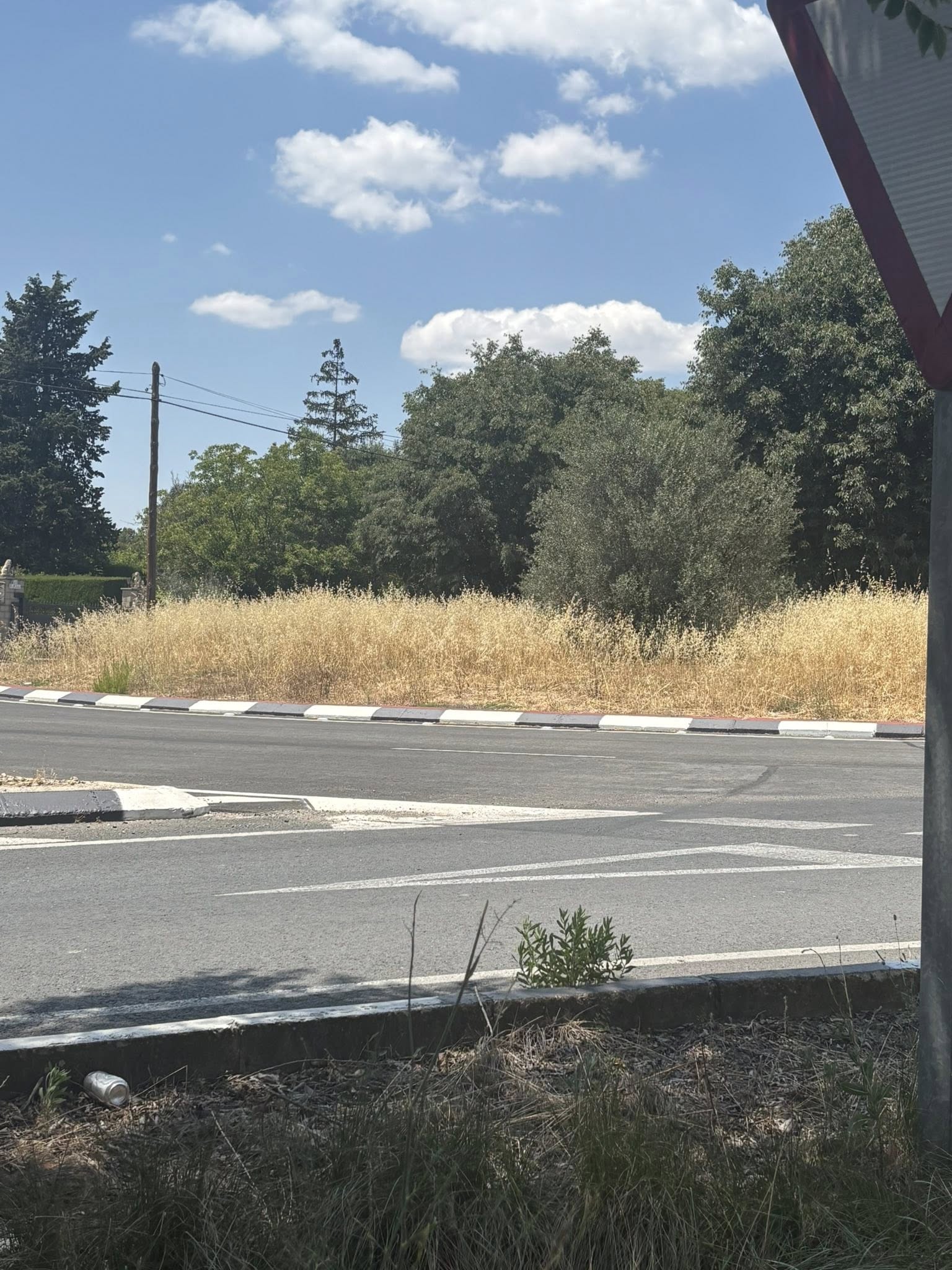 Estado de parques, jardines y zonas verdes